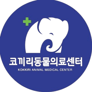 24시 코끼리 동물 의료센터